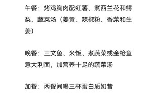  冠军球员的饮食和恢复方案分享：如何通过科学方法提升竞技状态