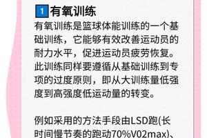  如何通过智能营养提高篮球运动员的耐力和速度：专业指南与实践策略